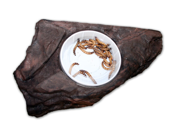 LARGE WORM FEEDER LEDGE – EARTH ( PT-1655)