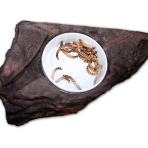 LARGE WORM FEEDER LEDGE – EARTH ( PT-1655)