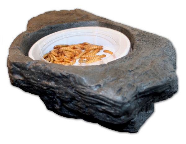 Pet-Tekk Sm Worm Feeder Ledge – Granite (PT-1650)