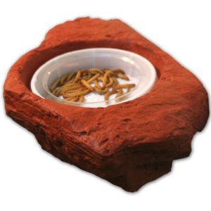 WORM FEEDER LEDGE MOJAVE – SMALL