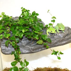Pet-Tekk Med. Planter Ledge Granite (PT-1441)