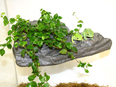 Pet-Tekk Med. Planter Ledge Granite (PT-1441)