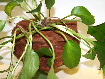 PLANTER LEDGE – MOJAVE RED – SMALL (PT-1442)