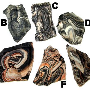 ROCK BOWL – MEDIUM