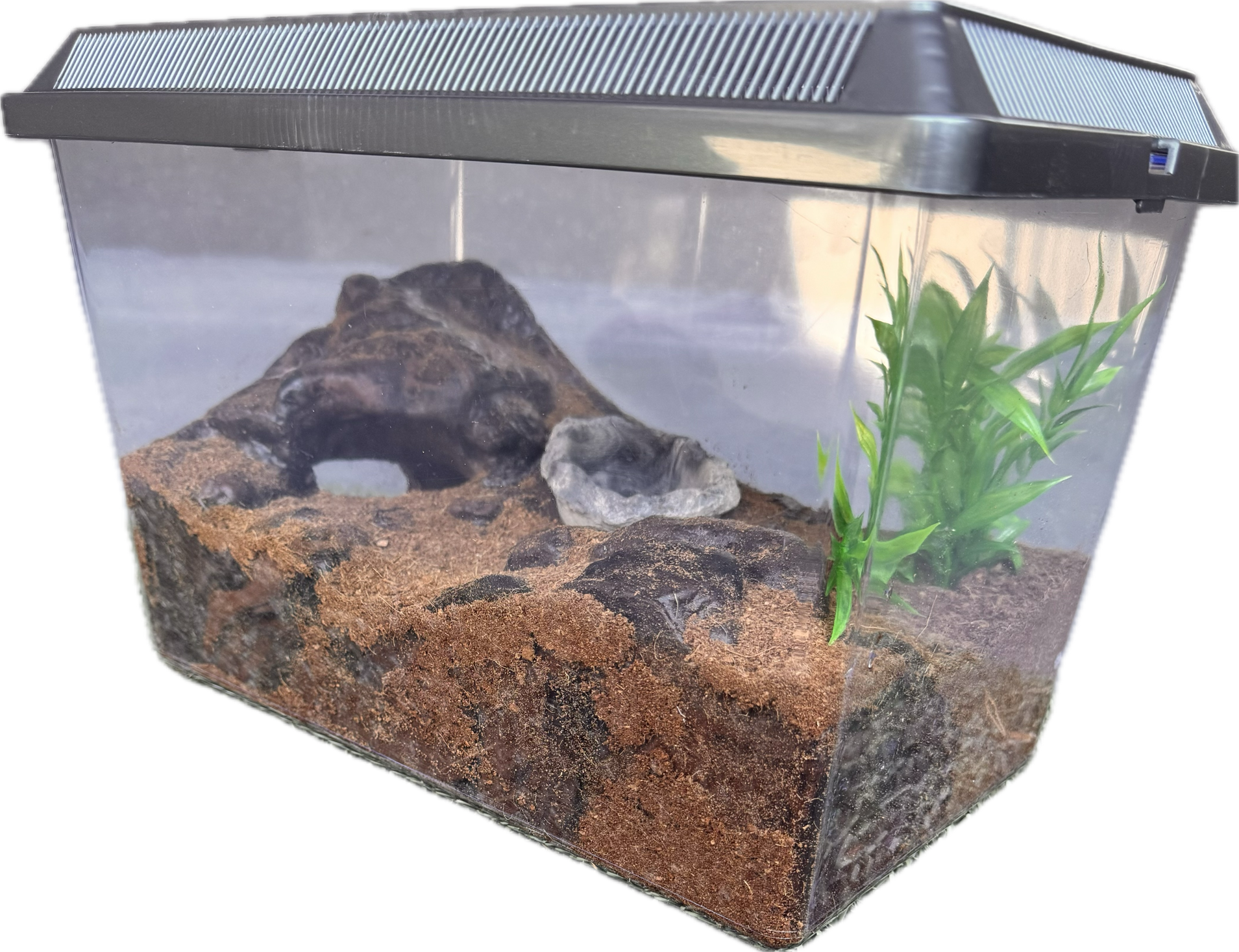 *NEW* Burrowing Critter Habitat
