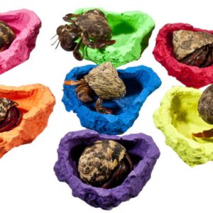 Pet-Tekk -Fluorescent X-Small Bowl (PT-110c)