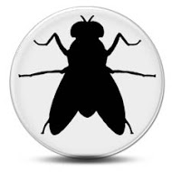 Fruit Fly / Insect Supplies