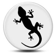 Reptile Supplies