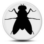 Fruit Fly / Insect Supplies